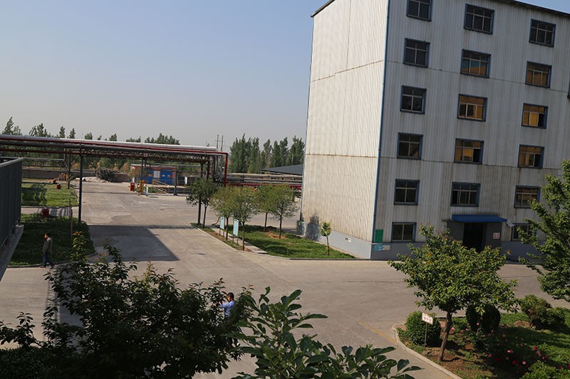 廠(chǎng)容廠(chǎng)貌